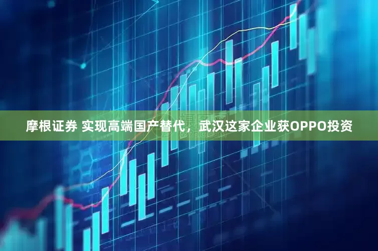 摩根证券 实现高端国产替代，武汉这家企业获OPPO投资