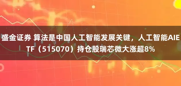 盛金证券 算法是中国人工智能发展关键，人工智能AIETF（515070）持仓股瑞芯微大涨超8%